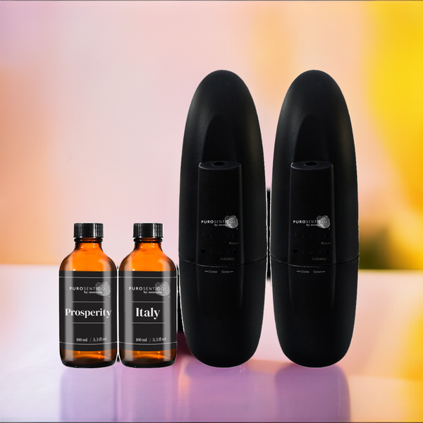 2 Allegro Diffuser + 2 Aroma Oils 100ml – PuroSentido By