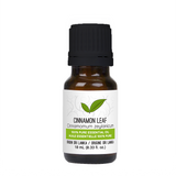 Cinnamon Leaf Essential Oil - POYA - 10ml