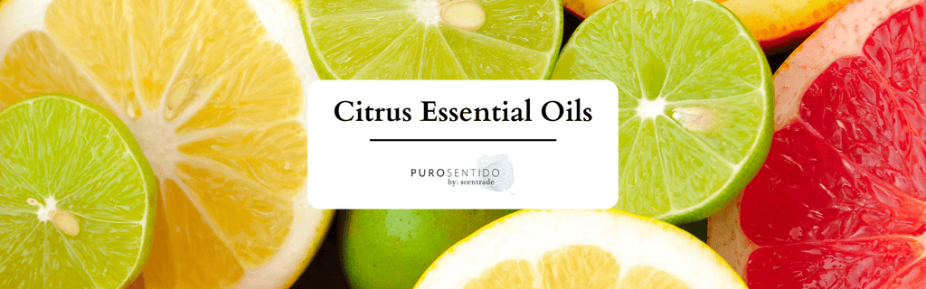 Learn all about citrus essential oils with Puro Sentido