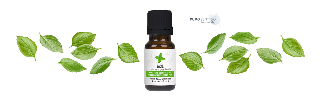 Puro Sentido basil oil uses in your daily life