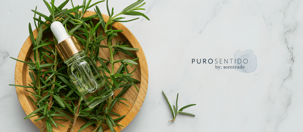 Rosemary essential oil, how to use it?