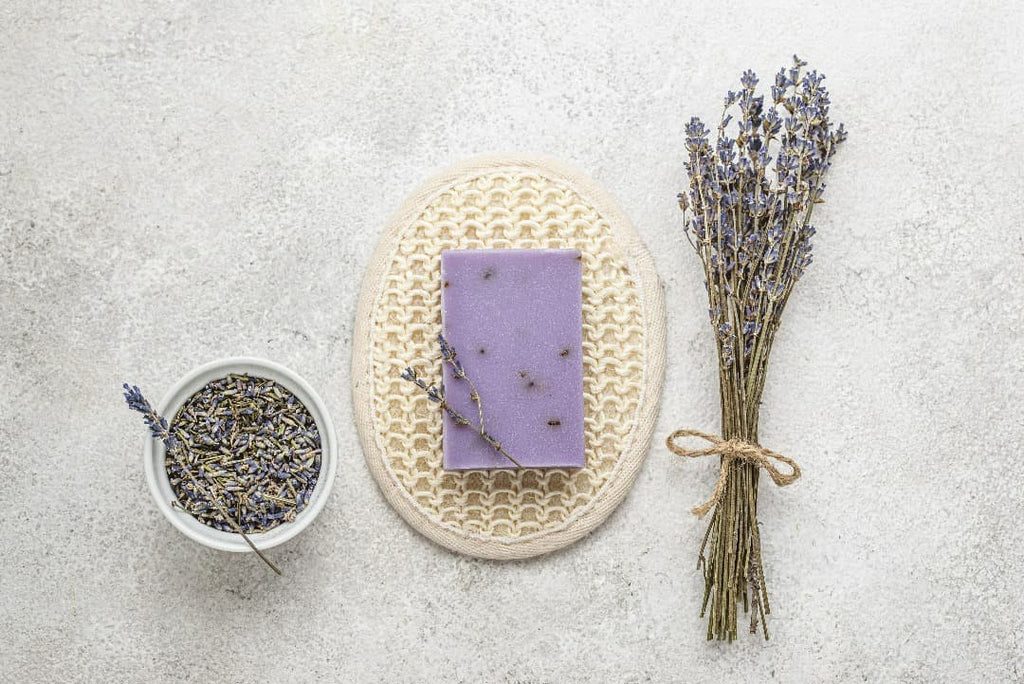 Lavender essential oil, everything you need to know