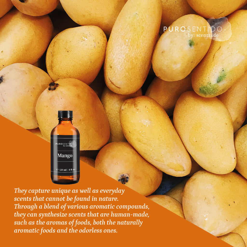 Mango Fragrance, Scent Oil Puro Sentido – PuroSentido By