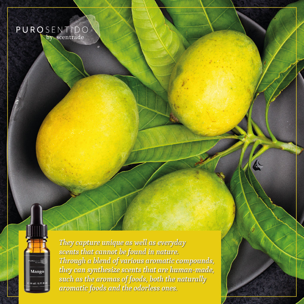 Mango Fragrance, Scent Oil Puro Sentido – PuroSentido By: Scentrade - USA